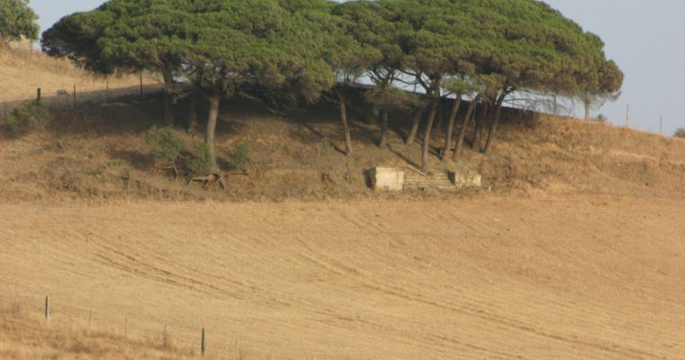 Arruda dos Vinhos, com certeza!