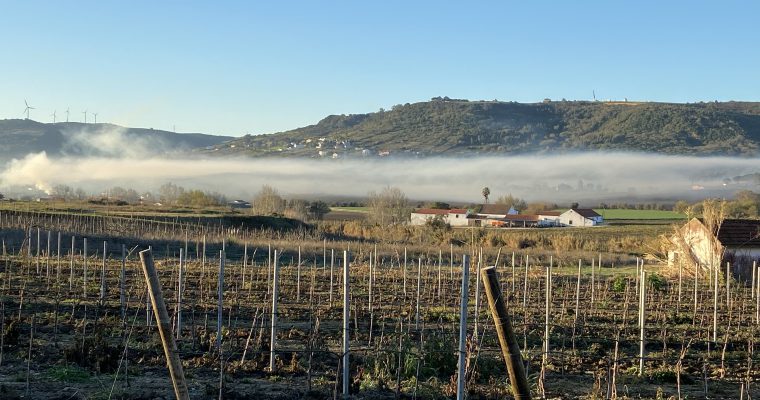 Uma história politicamente incorreta sobre o mundo rural