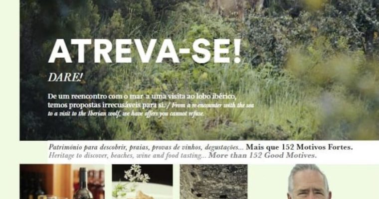 Editorial Revista Invade